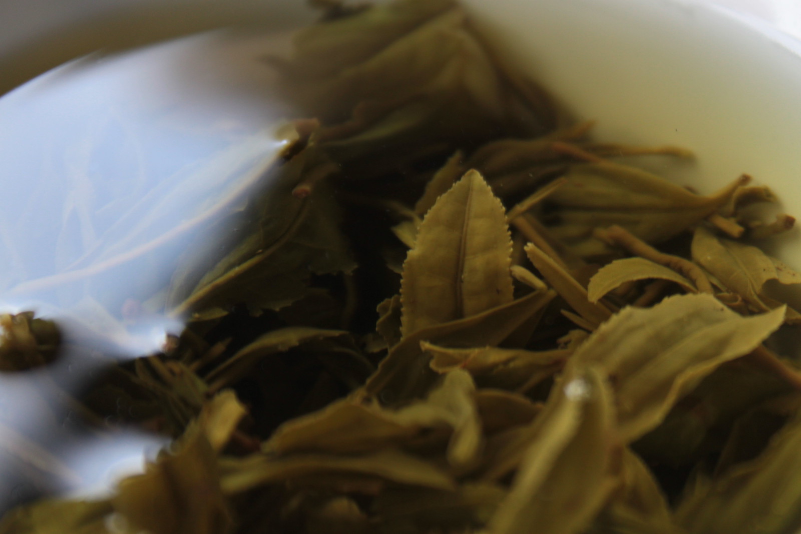 IMG_1202 - THE DARK WORLD OF TEA