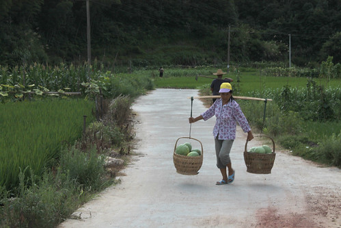 IMG_1318-levels - Carrying Melons