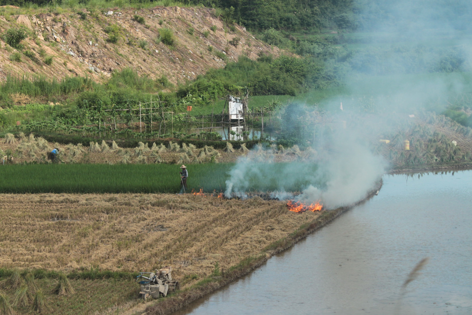 IMG_1197 - Stubble Fire