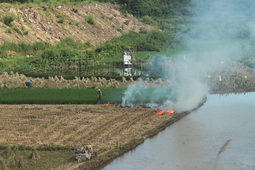 IMG_1197 - Stubble Fire