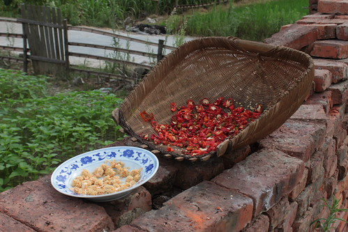 IMG_1316 - Chili Preparation