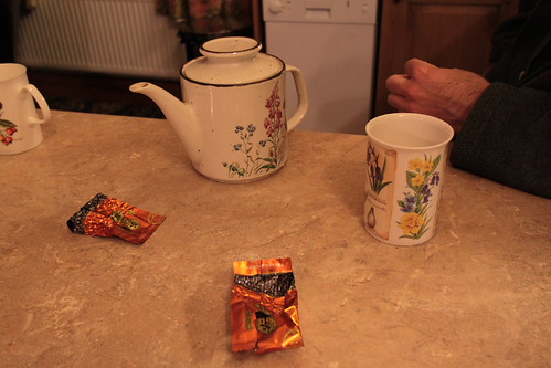 IMG_2225 - DOCTOR TEA in potential
