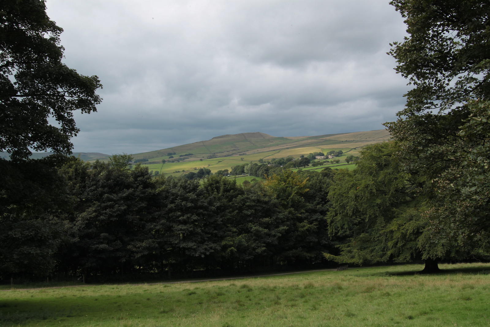 IMG_2265 - UILERY View
