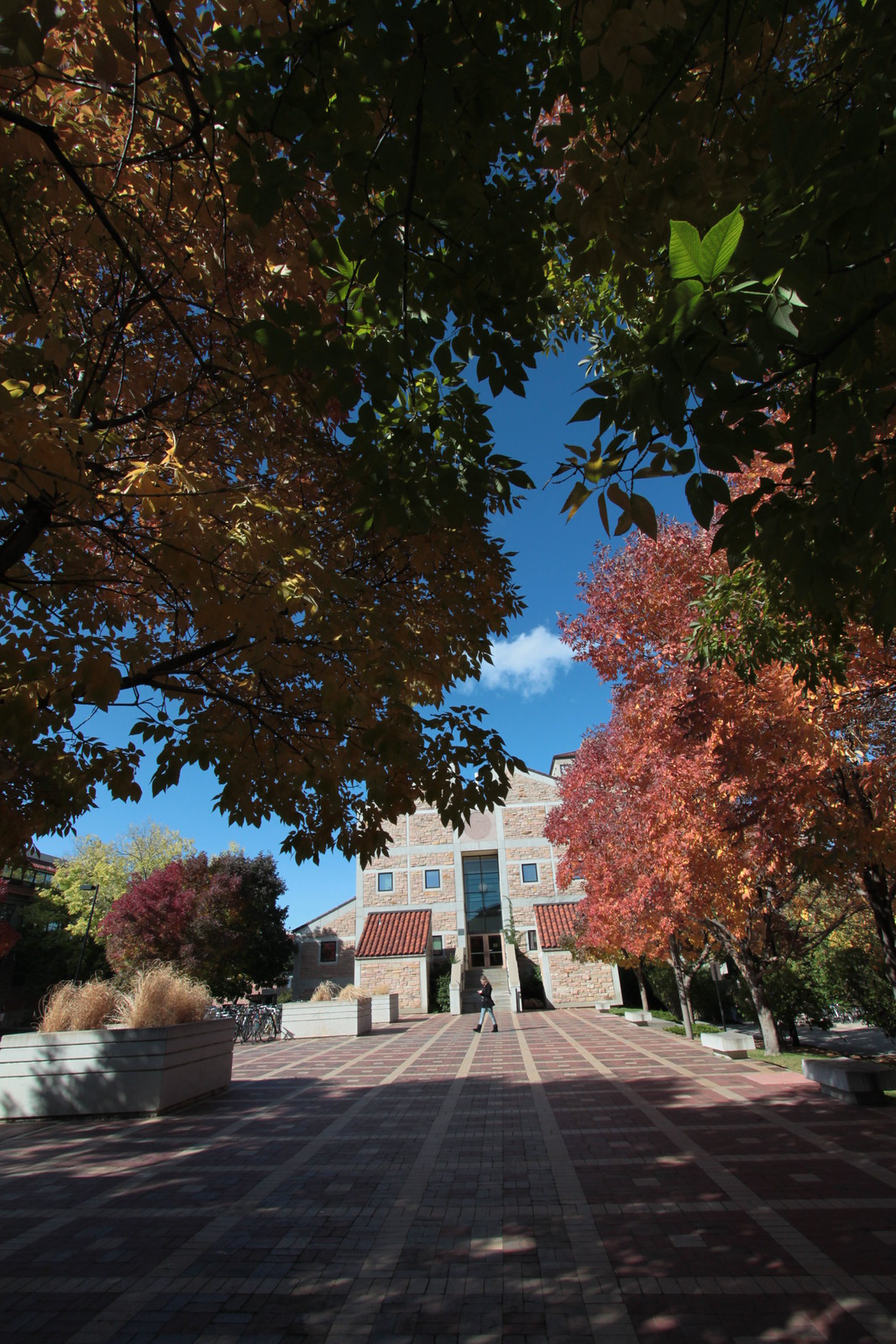IMG_3048 - Campus Salience