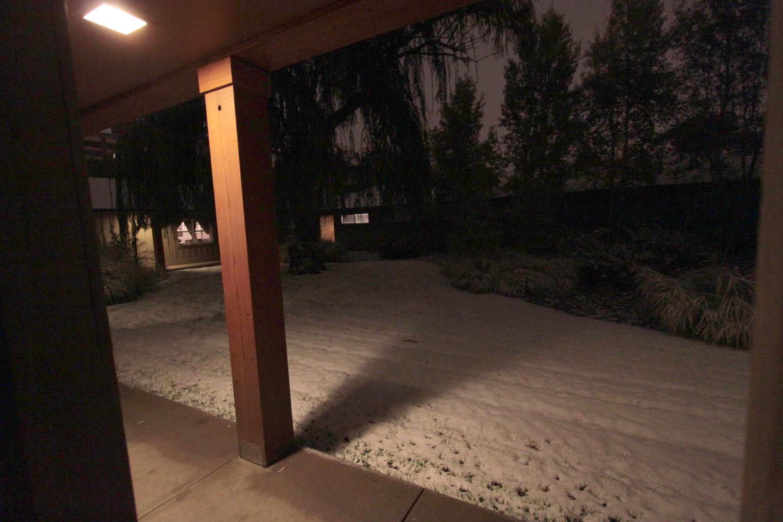 IMG_3107-gamma - The Porch in Snow