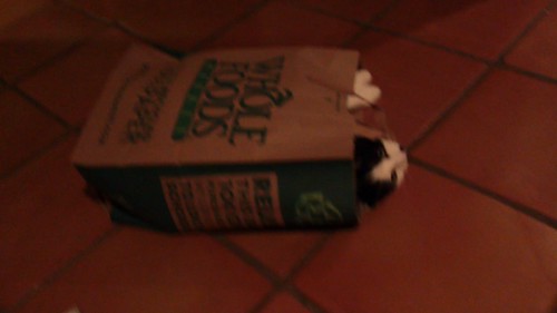 MVI_3253 - Whole Foods CATTT!