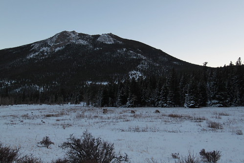 IMG_3362 - Elk Distance
