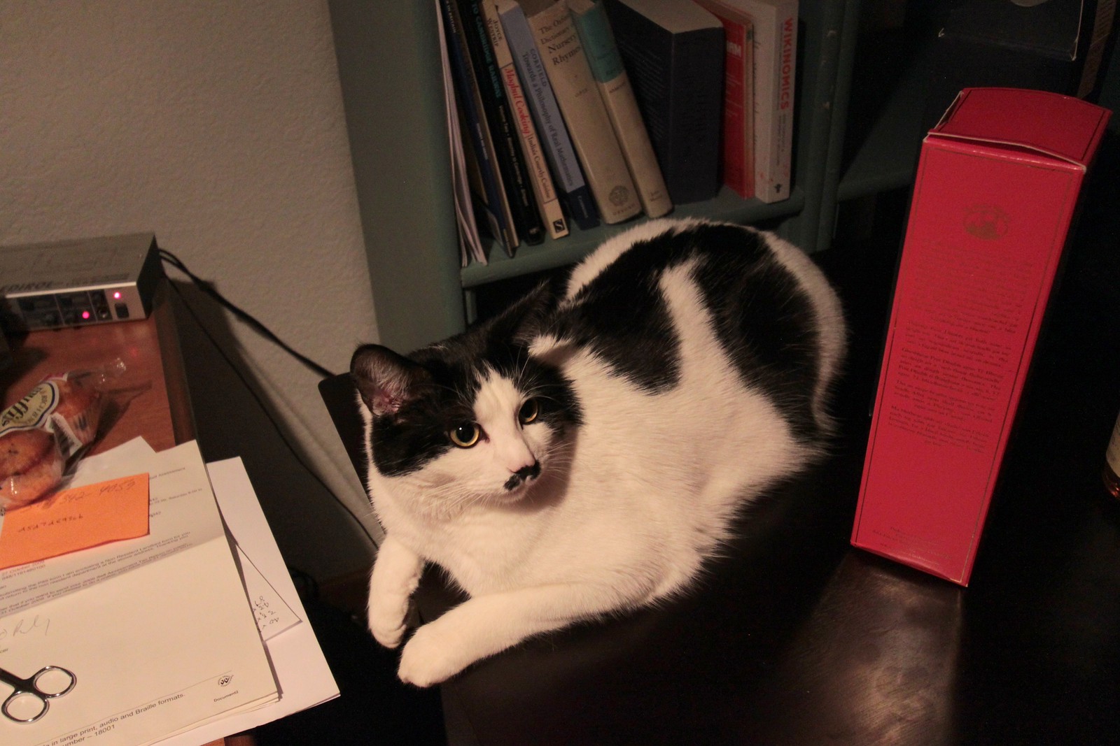 IMG_3390-gamma - THER CATTT and WHISK(E)Y
