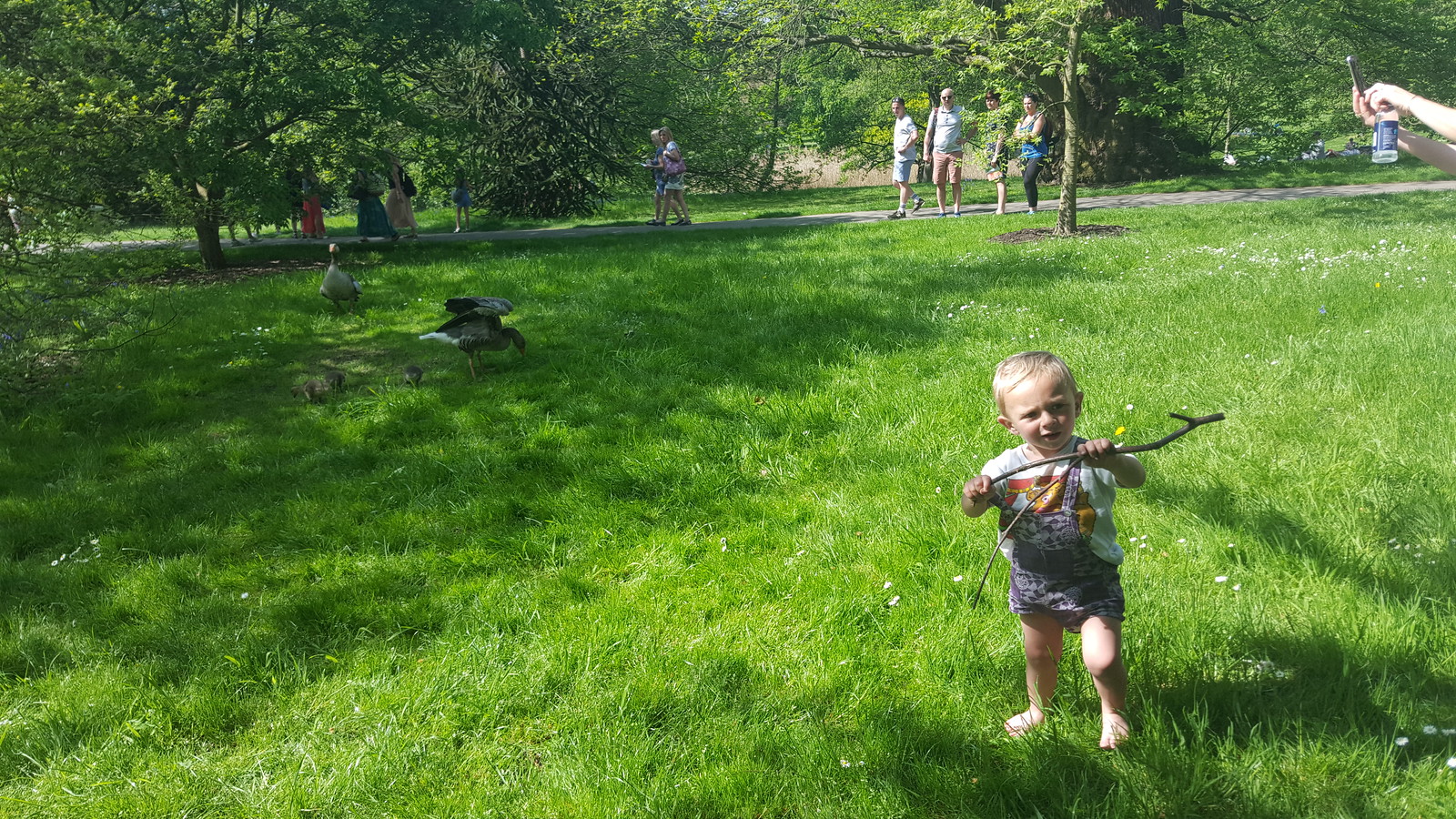 20180506_145413 - STTICKE!