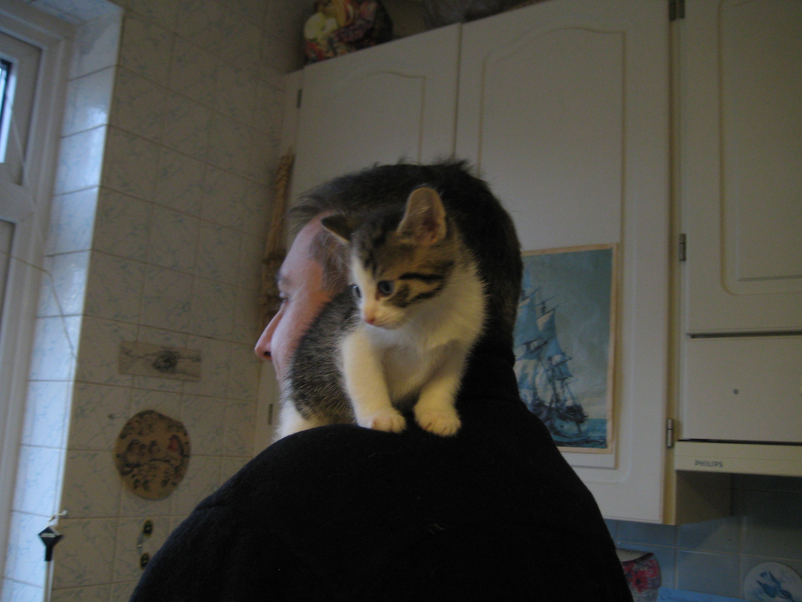 IMG_3821 - NEWCATT OUT