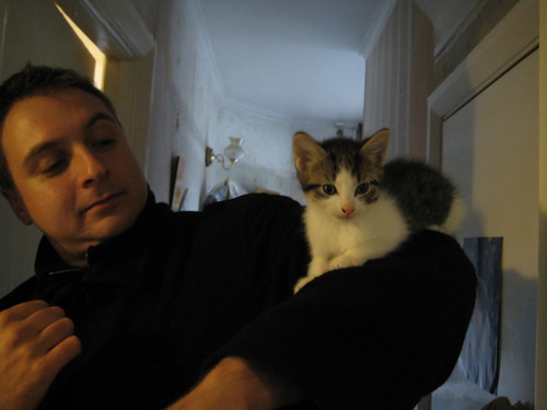 IMG_3819 - NEWCATT ARM
