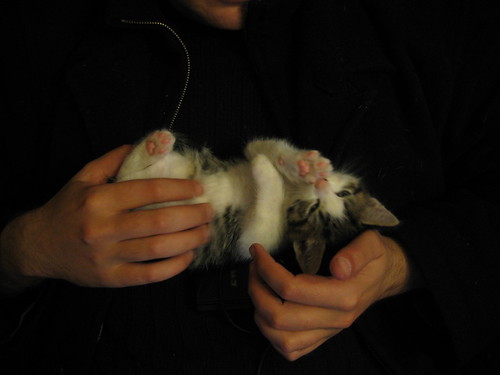 IMG_3824 - Hand-sized CATTT