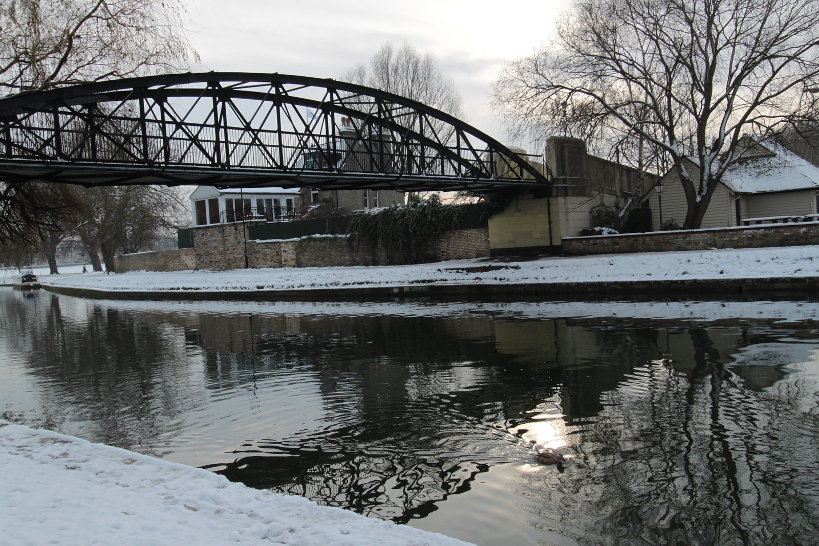 IMG_3504 - Icy Cambridge