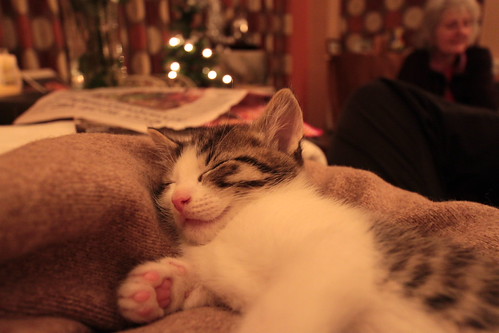 IMG_3565 - Relativistic CATTT