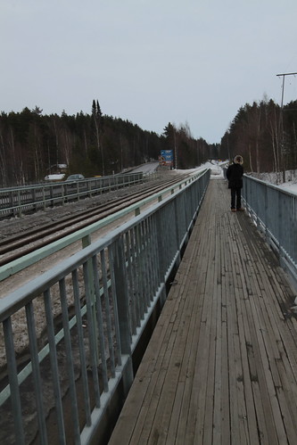 IMG_4166 - Bridge to PUNKAHARJU