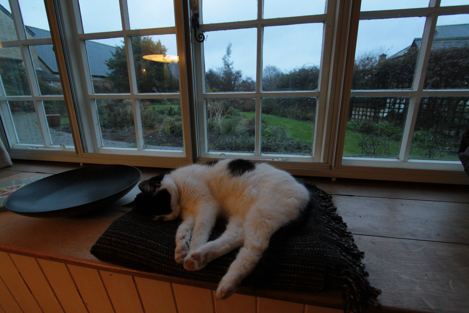 IMG_3607 - HATTIECATTT