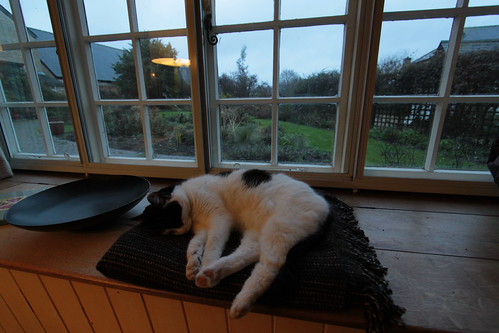 IMG_3607 - HATTIECATTT