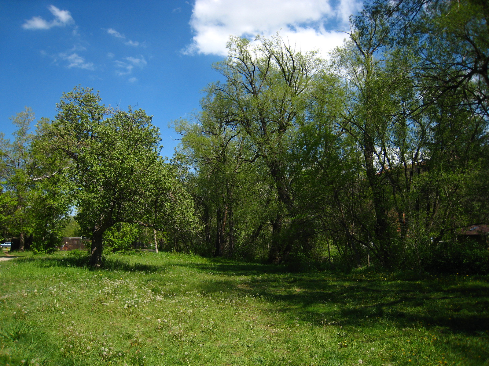 IMG_1322 - Creekside Sun