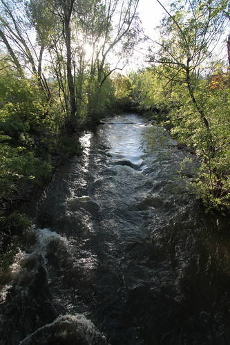 IMG_4701 - Crick in Flood