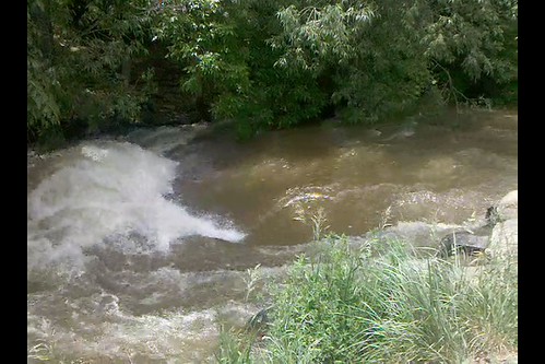 video-2010-06-07-12-29-54 - Flurry down the CRICK