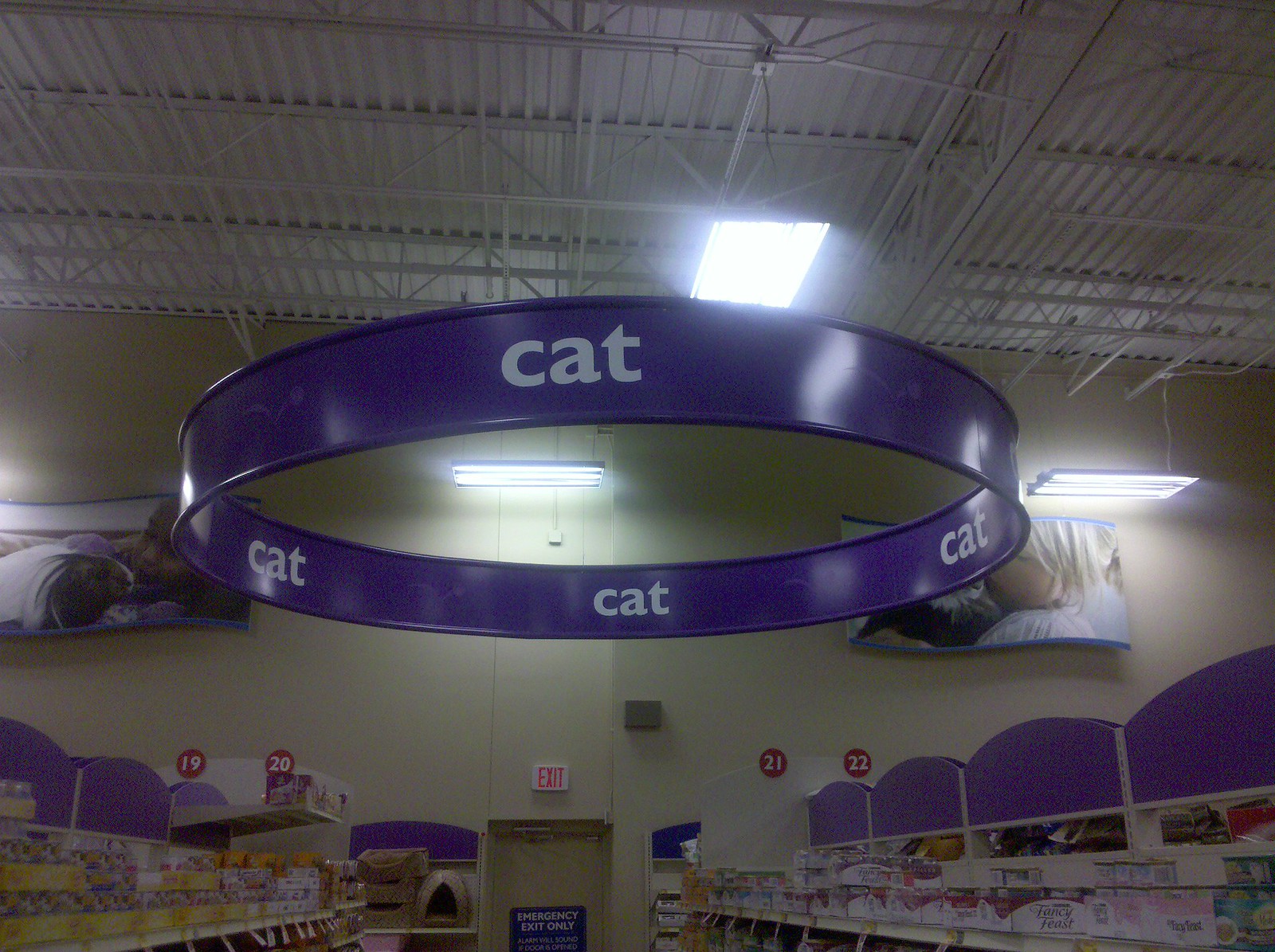 2010-04-29 14.36.00 - CAT CAT CAT CAT CAT