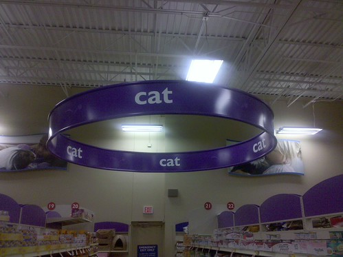 2010-04-29 14.36.00 - CAT CAT CAT CAT CAT