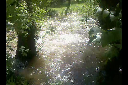 video-2010-06-05-15-27-11 - Crick Swirls