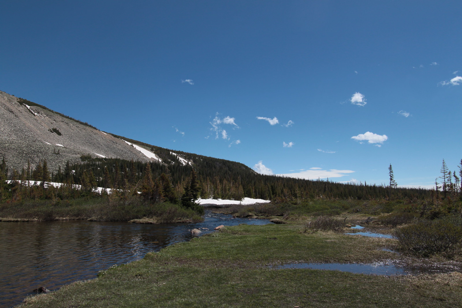 IMG_4971 - The Plateau by Mitchell
