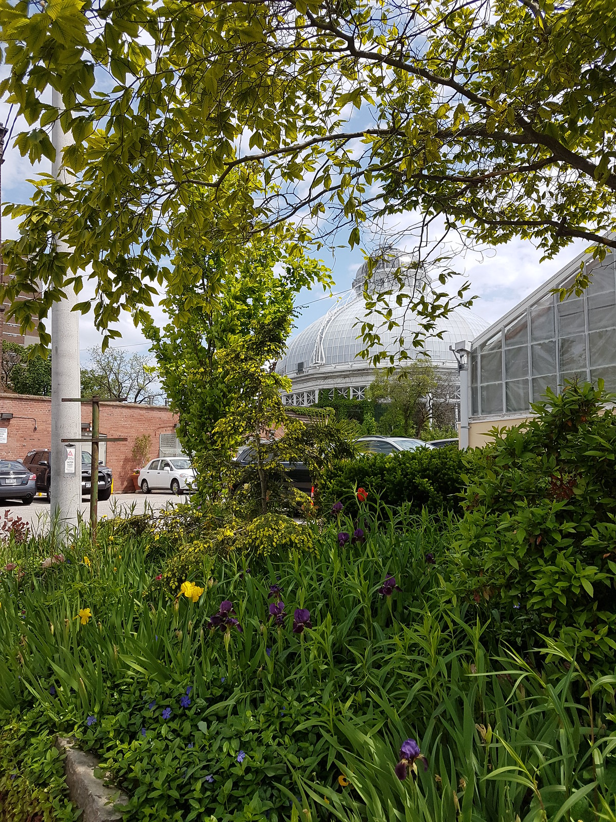 20190602_113740 - Allan Gardens Pavilion