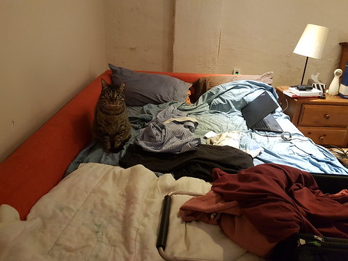 20190608_202746 - Pre-prepared *CATE*