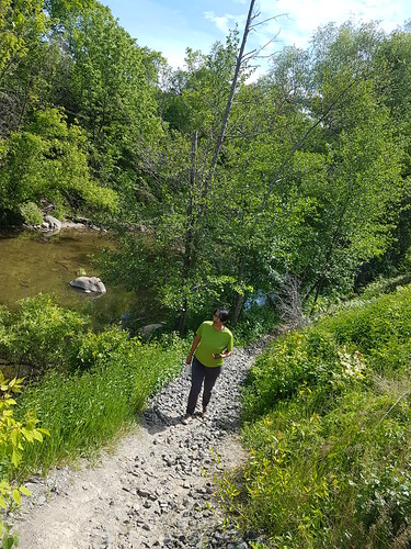 20190609_155803 - A Lonely Creek Trail