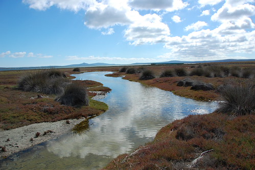 West Coast Pool - DSC_0648