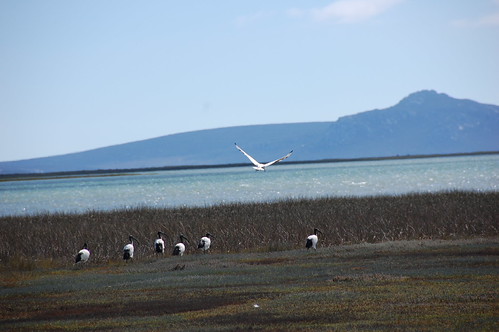 Landing - DSC_0676