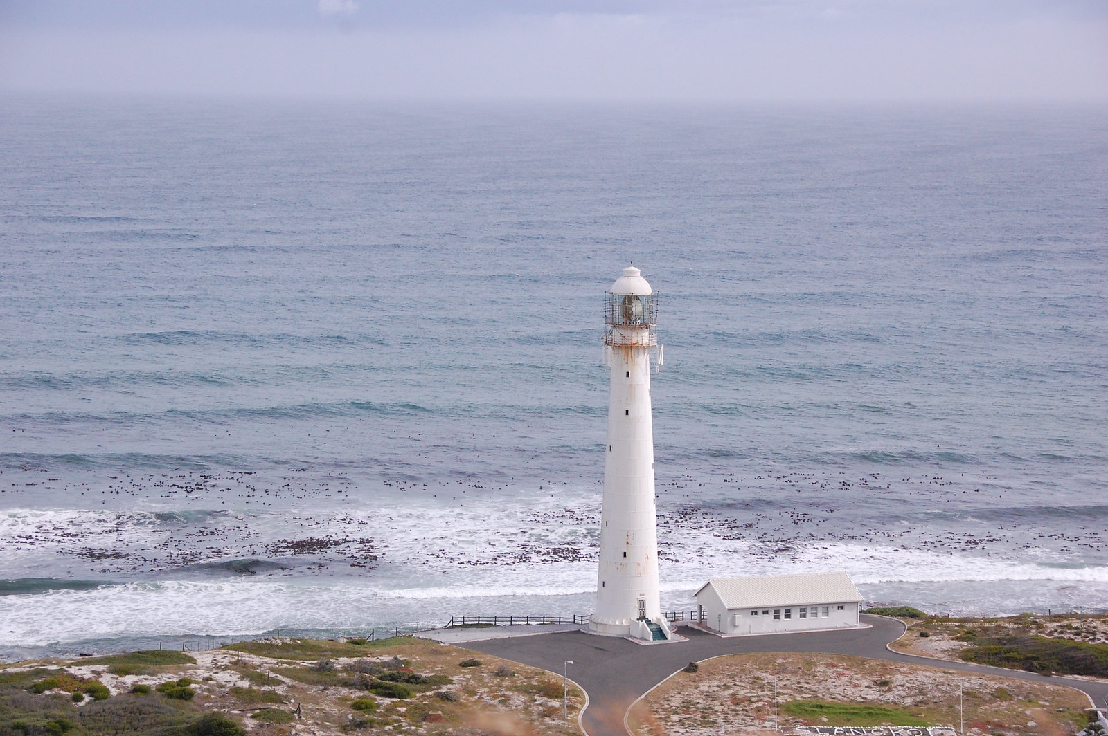 Cape Point Lighthouse - DSC_0023