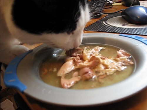 MVI_0081 - CATTSSOUP!