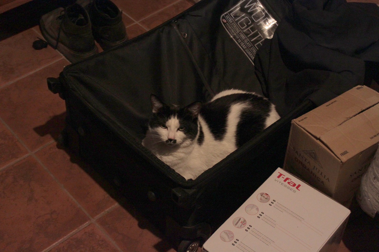 IMG_5462-gamma - CATTTCCASE