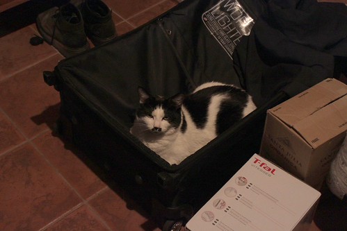 IMG_5462-gamma - CATTTCCASE