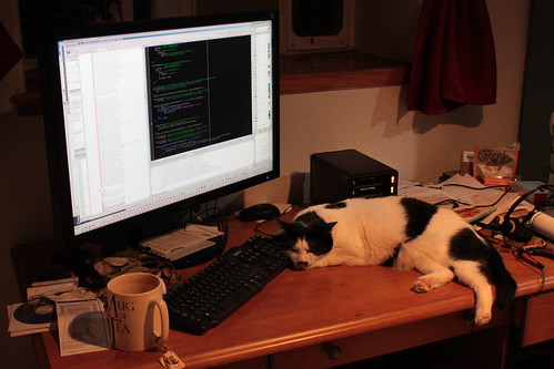IMG_5230 - CATTSPPRAULL