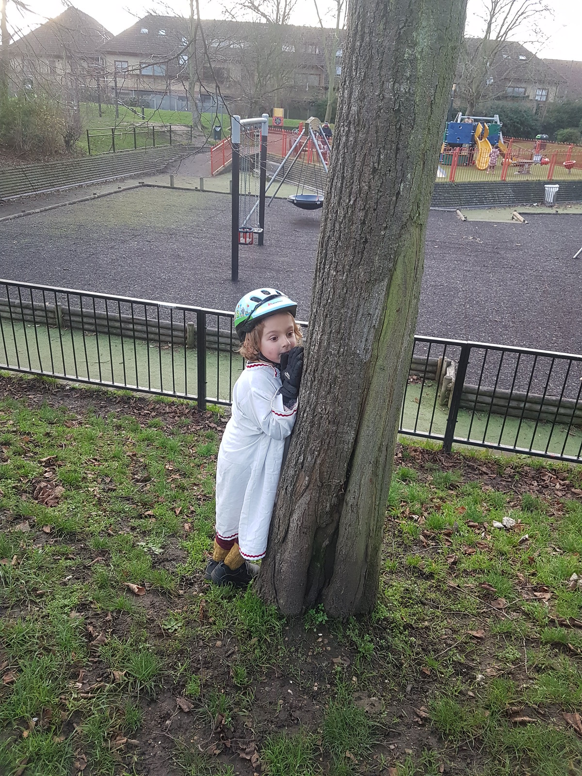 20201230_151439 - Mary Tree