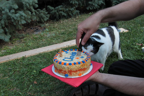 IMG_5488 - CATTT CCAKKKE II