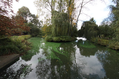 IMG_5571 - Green SCHLEIM