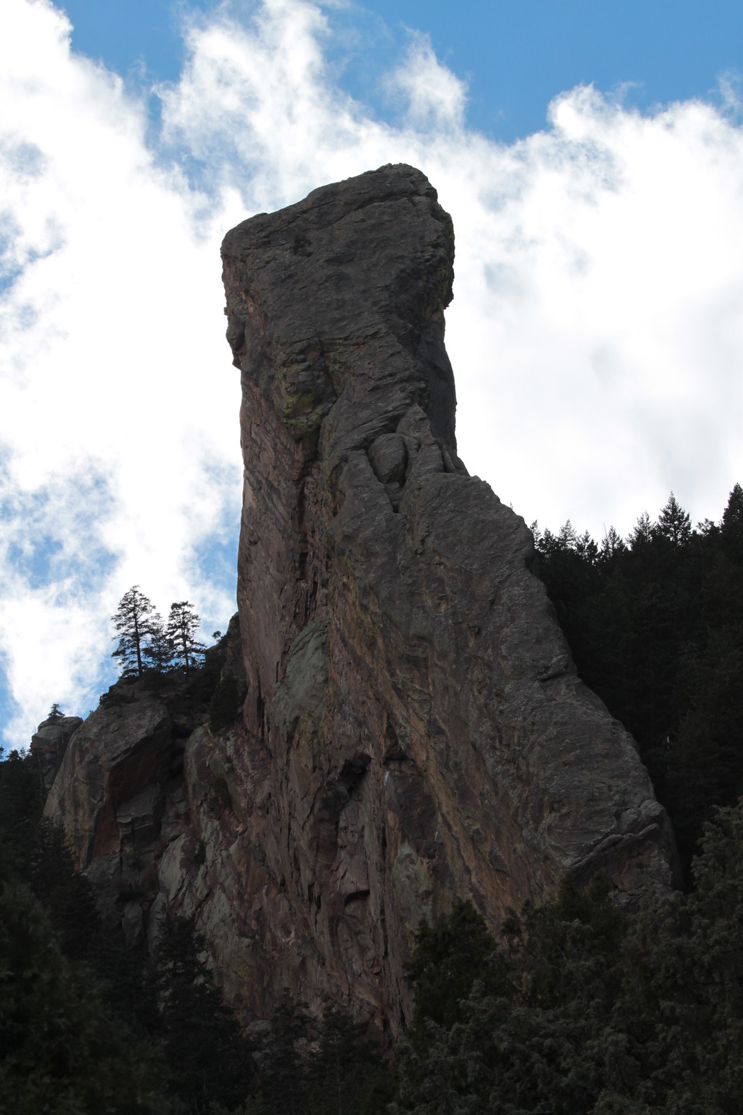 IMG_5811 - Giant BOSS