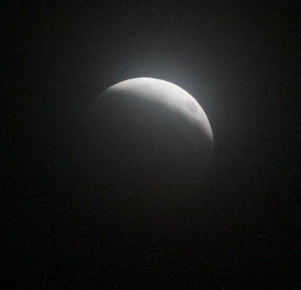 IMG_5888-gamma-crop