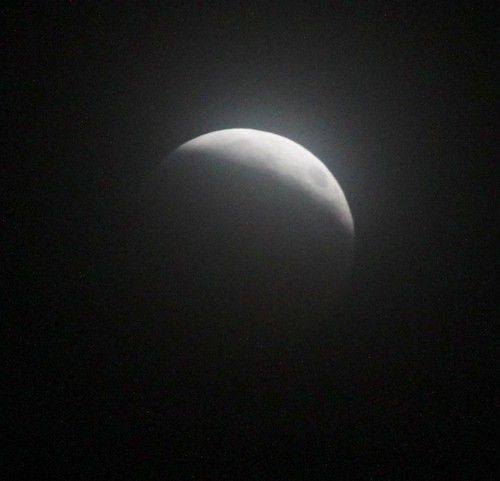 IMG_5888-gamma-crop