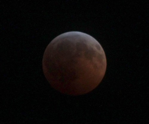 IMG_5925-crop-gamma