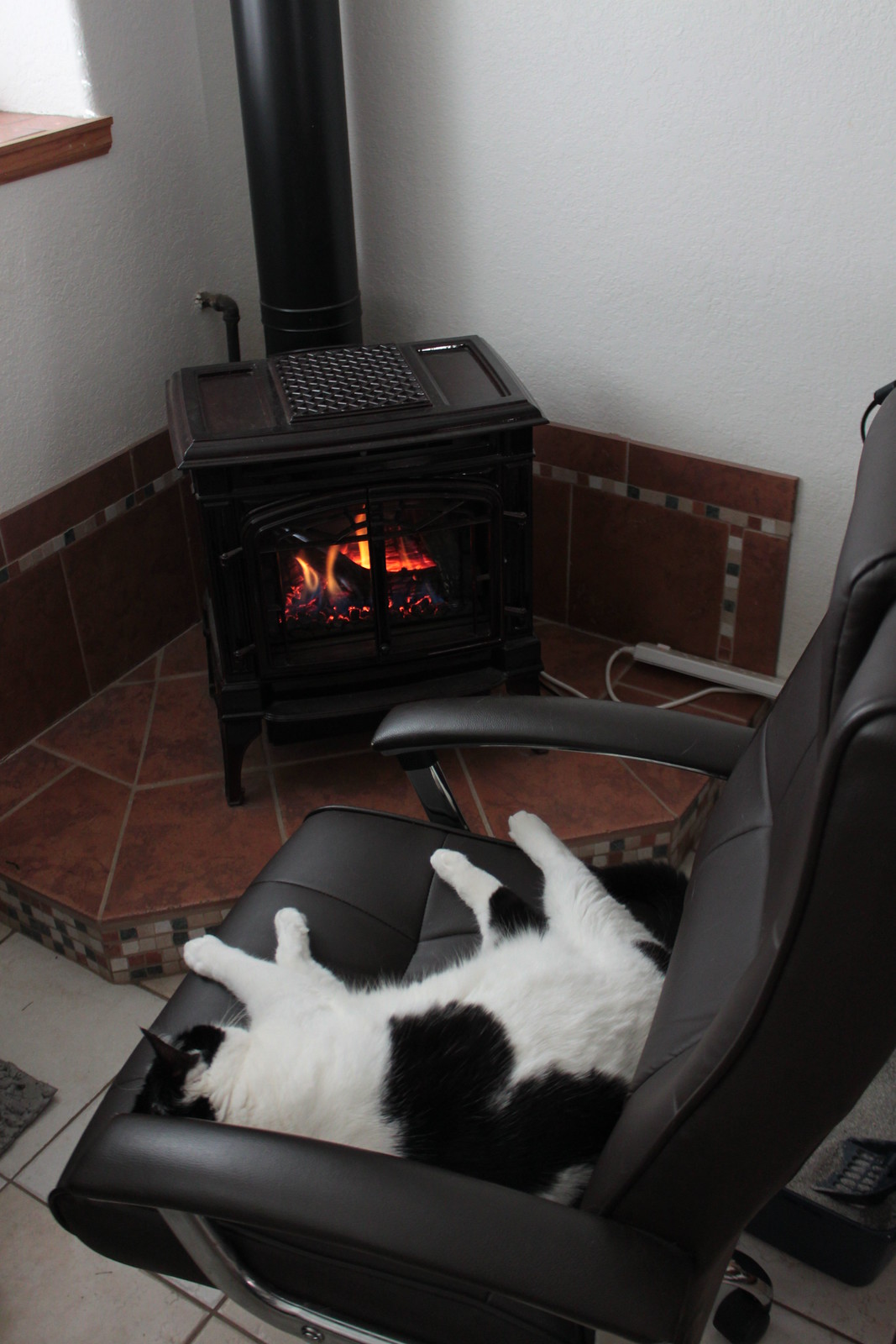 IMG_6146 - CATTCHAIR