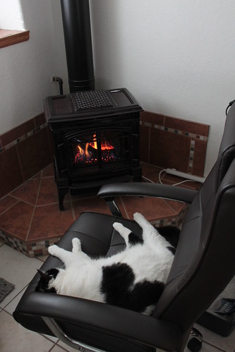 IMG_6146 - CATTCHAIR
