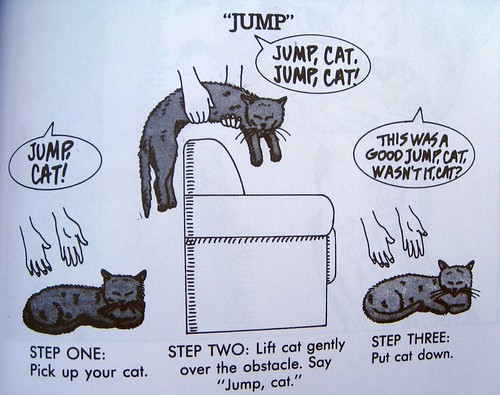 JUMPCATT!