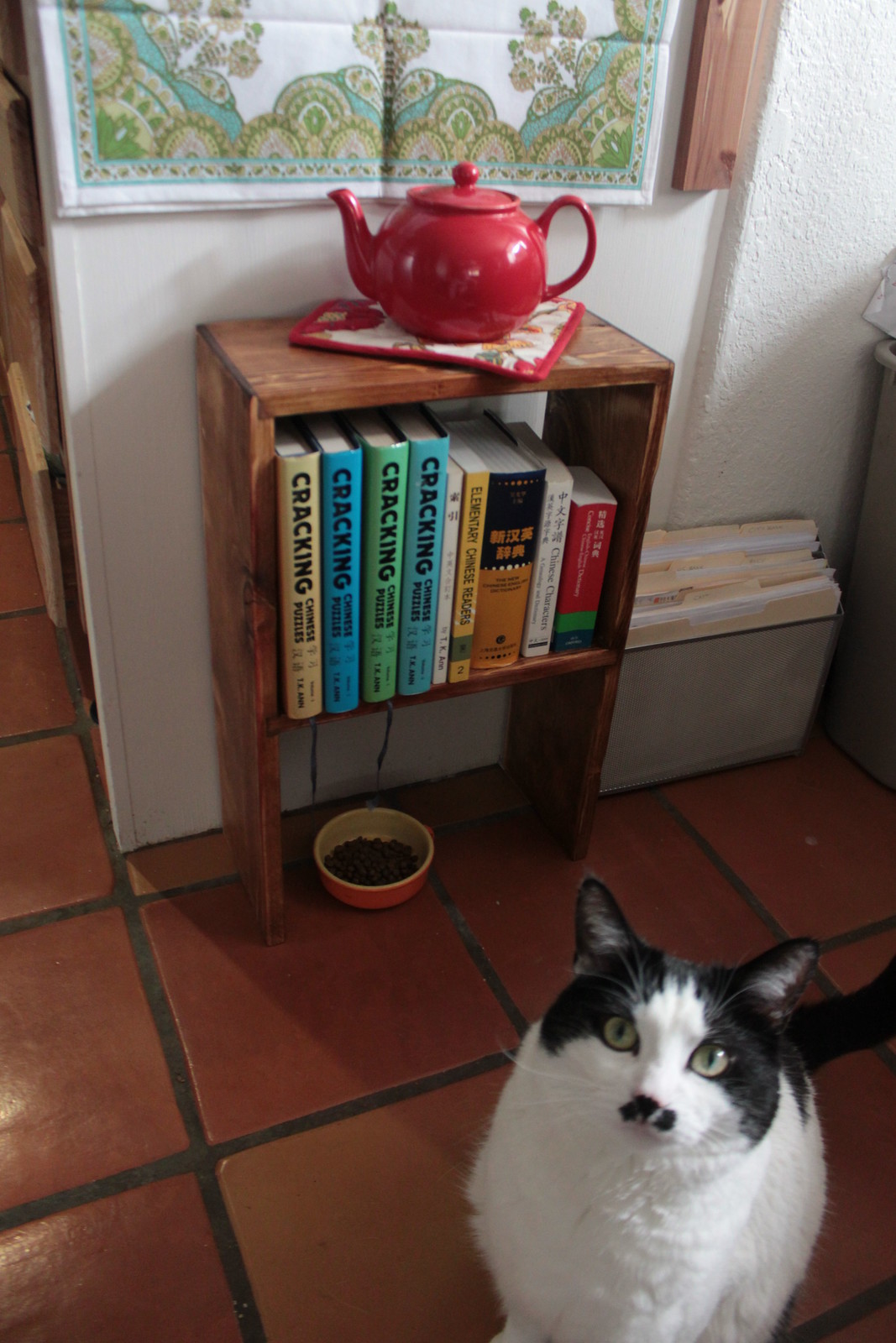 IMG_6290 - CATTSHELFF