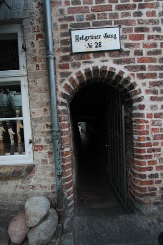 IMG_6769 - Hellgruener GANG
